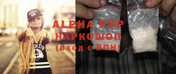мдпв Бородино