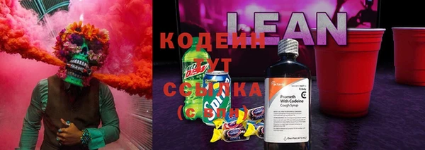 мдпв Бородино