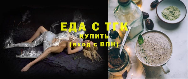 мдпв Бородино