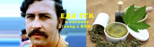 мдпв Бородино
