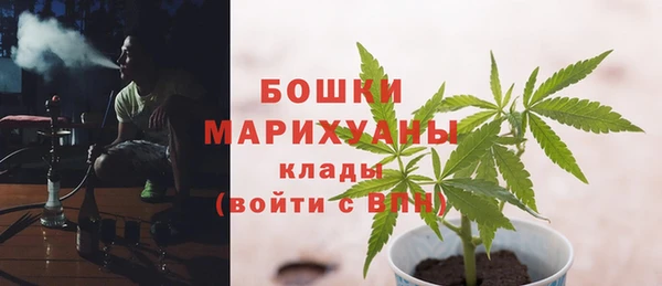 мдпв Бородино