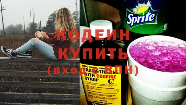 мдпв Бородино