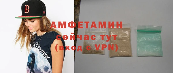мдпв Бородино