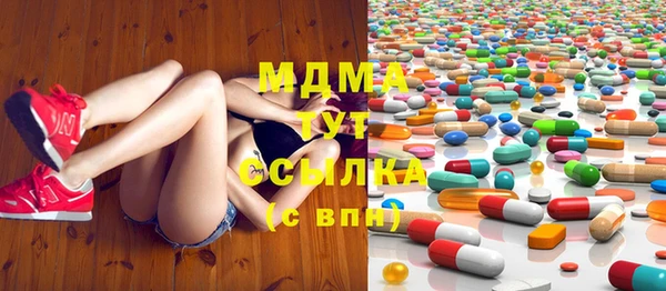 мдпв Бородино