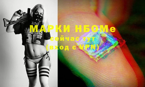 мдпв Бородино