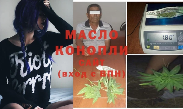 мдпв Бородино