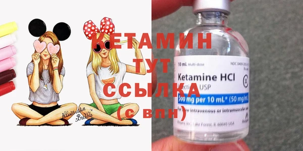 мдпв Бородино