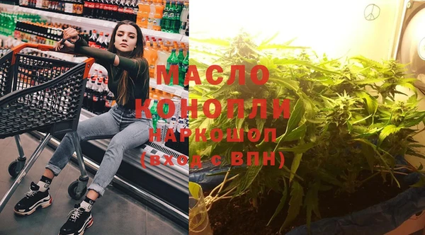 мдпв Бородино